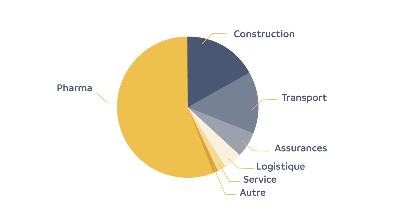 <p>Graphique de répartition du chiffre d'affaire.
</p>