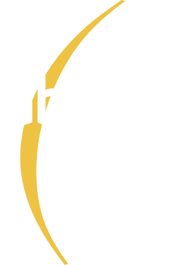 À propos de nous